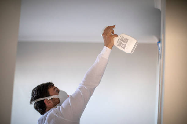 Best Insurance-Related Mold Remediation in Estancia, NM